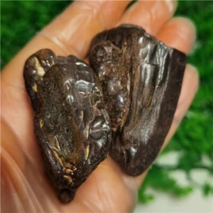 219g Natural Iron&Nickel Meteorite Specimen from ,China z678 - Picture 1 of 12