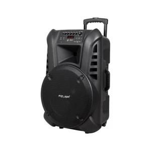5901890052887 Aktywny głośnik (z 2 mikrofonami radiowymi, SD, Bluetooth, USB) 15 - Zdjęcie 1 z 1