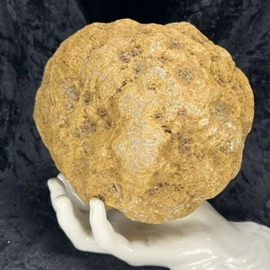 Geoda grande de cuarzo ágata de cristal de 6" sin abrir rompe tu propio sonajero de 6,11 lb - Imagen 1 de 7