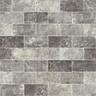 Shaw CS64M San Francisco - 4" x 8" Rectangle Floor and Wall Tile