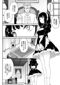 Fallen Nobility Tsubaki Education for Maid Fanbook B5/120P Compilation 1 - Picture 1 of 4