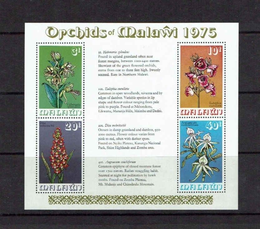 Malawi: 1975, Orchids of Malawi, MNH M/Sheet - Image 1 of 1