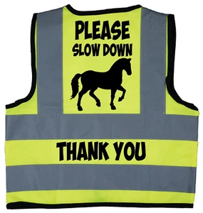 Hi Vis Safety Jacket Please Slow Down Vest Children's Kids Baby 0-9 Years Horse - Picture 1 of 15