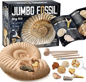 Fossilien Ausgrabungs-Set für Kinder 12 echte Fossilien Archäologie Spielzeug - Bild 1 von 19