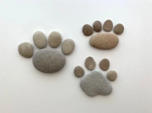 3 Sets Pfotenabdruck Steine Natur Strand Stein Kiesel Handwerk Haustier Hund Katze Welpe Kätzchen - Bild 1 von 7