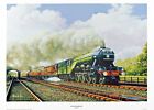 Vintage Railway Steam Engine Train Locomotive Art Print 34X44cm 40 Variations