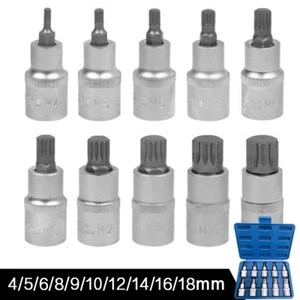 10tlg Steckschlüssel 1/2 Innen Vielzahn Nüsse M4-M18 Nuss Set Stecknüsse Satz DE - Bild 1 von 12