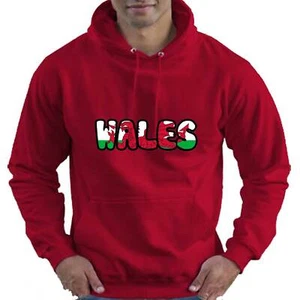 Wales Welsh Flag Childrens Childs Kids Boys Girls Hoodie Hooded Top  - Picture 1 of 12