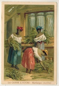 Chrom-Zuckerrohr-Martinique-Antillen-Polynesien-Ozeanien-Db.15 - Bild 1 von 2