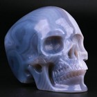 3.0" Mozambique Agate Carved Crystal Skull, Realistic, Crystal Healing
