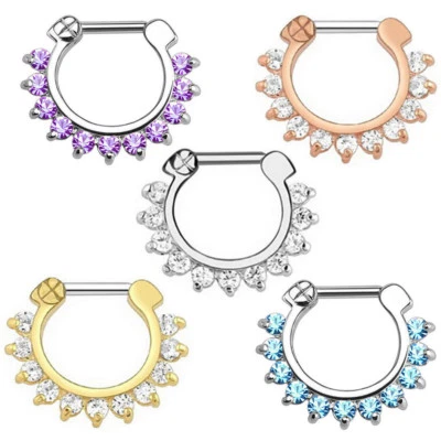 全新 316L 手术钢鼻环 Septum Rings Clicker 身体穿孔首饰 16 克 — 第 1/4 张图片