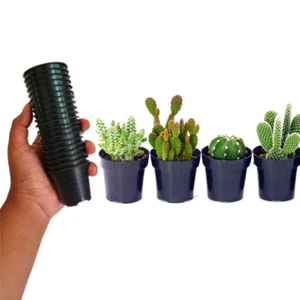 05 pcs Mini Plastic Flower Cactus Pots Plant Nursery Black Round Cups 5.5cm*5cm - Picture 1 of 10