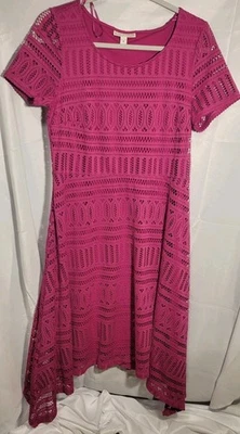 Vestido Dana Buchman Encaje Forrado MIDI Fucsia/Magenta Alto-bajo Barbiecore A0152 Foto 1 de 4