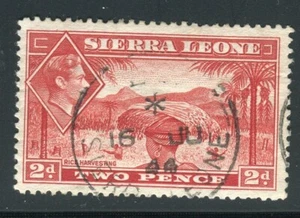 Sierra Leone SG191a 1938-54 KGVI 2d scarlet used - Picture 1 of 1