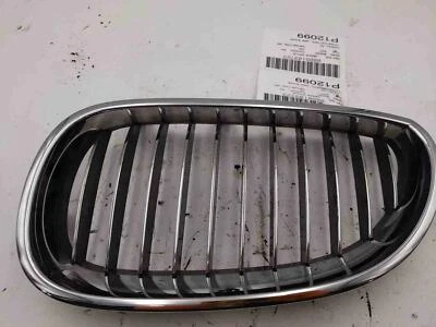 BMW 530i E60 2006 2007 parte superior izquierda parachoques parrilla OEM Foto 1 de 2