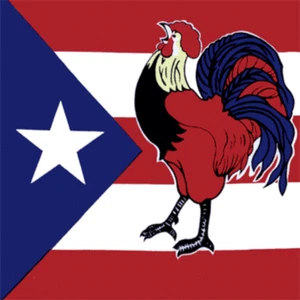 PUERTO RICO CHOOK FLAG BANDANA Cotton Scarves Scarf Head Neck Band Skull Wrap - Picture 1 of 1