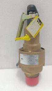 Válvula de alivio de seguridad KUNKLE número de pieza: 6186GFM01-KM 150 PSI - Imagen 1 de 5