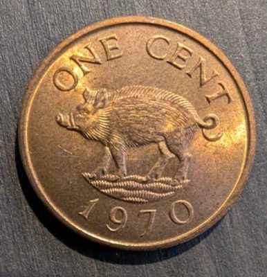 1970 Bermuda - 1 Cent - Elizabeth II - Wild Boar - Animals - Image 1 of 4