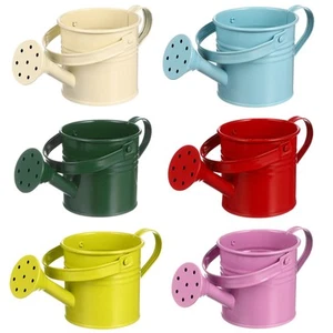Watering Can Kids Small Watering Can, Metal Watering Can for Outdoor Plants, ... - Picture 1 of 9