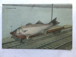 ca. 1910 Exaggeration Fish Postcard - A Carload of Fish - Picture 1 of 1