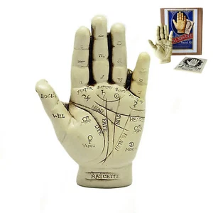 The PALMISTRY HAND KIT - Handsclupture + Palm Reading Instructional Book NIB 5" - Bild 1 von 11