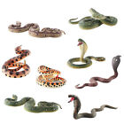 Amphibian Model Various Styles Ornament Snake Figurine Parrot Model Toy Clear