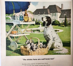 English Setter Puppies Dog Calvert Blended Whiskey Vintage 1947 Ad Magazine Print - Bild 1 von 6