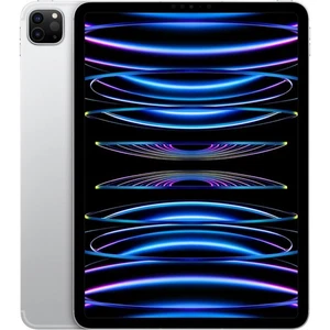 Apple iPad Pro 11" 2022 4th gen 128GB WiFi + 5G Cellular Plata POCO USADO - Imagen 1 de 1