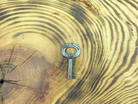 Antique Steamer Trunk Key Eagle Lock Co. # 178 Eagle Trunk Key Cover