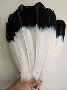 Großhandel! NEU fasan-feder 10-100pcs Knappe natürlich 28-33cm/27.9-33cm - Picture 1 of 5