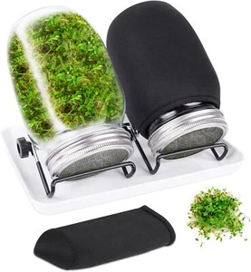 Seed Sprouting Jar Kit - 2 Wide Mouth Mason Jars for Bean Sprouts & Microgreens - Picture 1 of 2