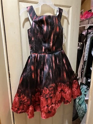 vestido formal talla 6 petite cocktail Foto 1 de 4