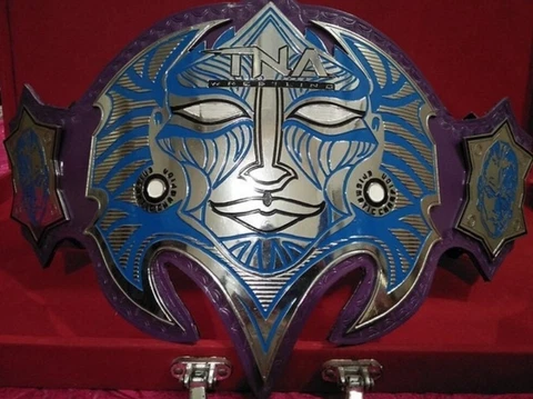 TNA Jeff Hardy Wrestling Championship Leather Belt Adult Size Cover