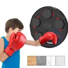 Fitness Exercise Boxing  Wall Target Boxing Sports Reaction Training  Home