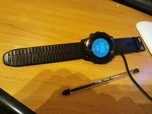 fenix 5x plus ebay