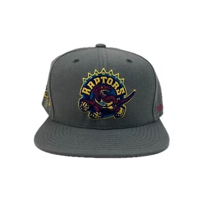 Mitchell & Ness Toronto Raptors Fitted Hat Cap Gray Yellow Purple NBA Size 7 - Picture 1 of 24