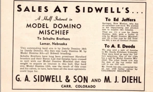 1948 Print Ad G.A. Sidwell & Son M.J Diehl Carr CO Sale Cattle - Bild 1 von 1