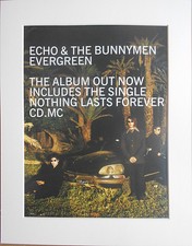 ECHO & THE BUNNYMEN Evergreen 1997 Music Press Poster Type Advert In Mount
