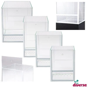 (ab 53,70€/Stk) diversa Terrarium Spinnen Spider 4,5L - 22,5L Falltür - Bild 1 von 13