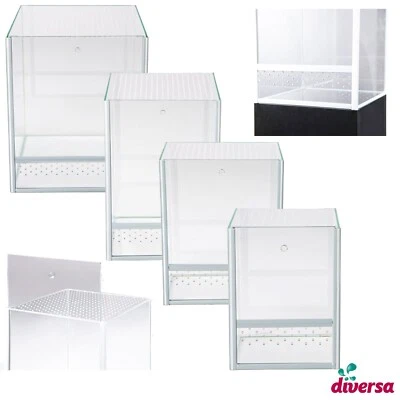 (ab 53,70€/Stk) diversa  Terrarium Spinnen Spider 4,5L - 22,5L Falltür - Bild 1 von 4