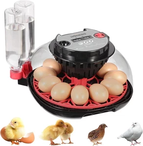 Incubadora de 12 huevos con giro automático, control de humedad, vela LED de huevos - Imagen 1 de 8