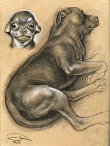 Original Pencil Drawings of Dogs (Pitbull & Chihuahua) Hand Signed and Dated - Picture 1 of 4