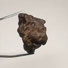 Meteorite Chondrite NWA du Sahara 18,70gr tektite tectite iron impactite mineral
