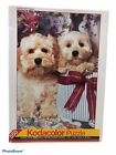 Kodacolor Hat Box and Puppies 550 Puzzle New and Sealed