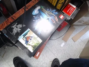 LEGO Icons Kingfisher - 10331 - 834 Teile (E10045891) - Bild 1 von 1