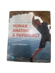 Human Anatomy and Physiology by Erin Amerman (2018, Hardcover) Second Edition - Picture 1 of 7