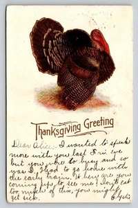1906 Thanksgiving Turkey Greetings Postcard - Picture 1 of 2