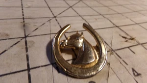 Goldtone Horse Head & Shoe Pin Brooch. unmarked - Picture 1 of 5