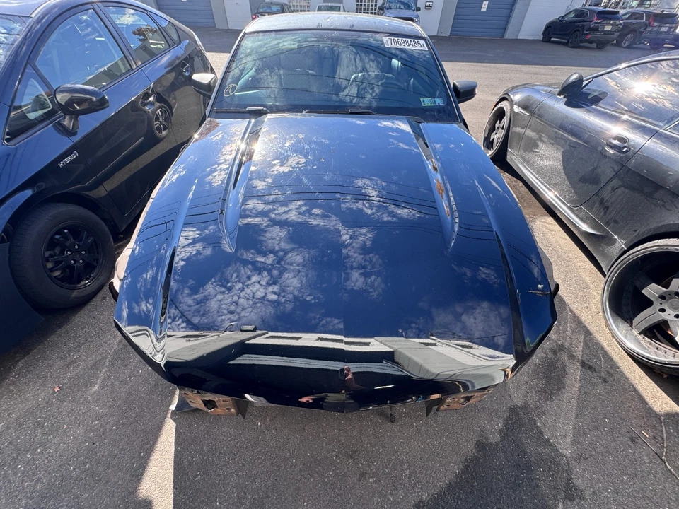 Ford Mustang GT 2012-2014 capó negro OEM camioneta local ¡solo! Foto 1 de 4