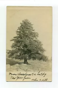 Matasellos Dedham MA Mass RPPC foto postal, árbol, feliz Navidad, Helen Hill - Imagen 1 de 2